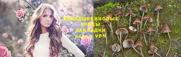 стафф Краснослободск